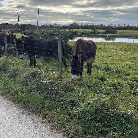 بيت للعطل Maison Independante En Plein Coeur De Dolus d'Oléron